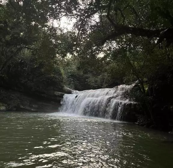 ホテル Cabañas Monteleón Paicol  Huila