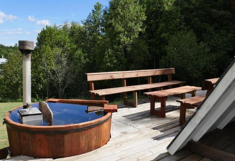 هاستل La Merced