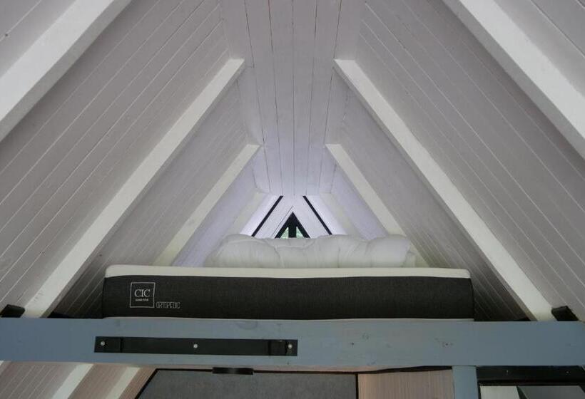 هاستل La Merced