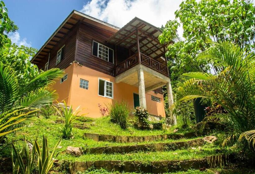 تختخواب و صبحانه Off Grid Zen Forest Den