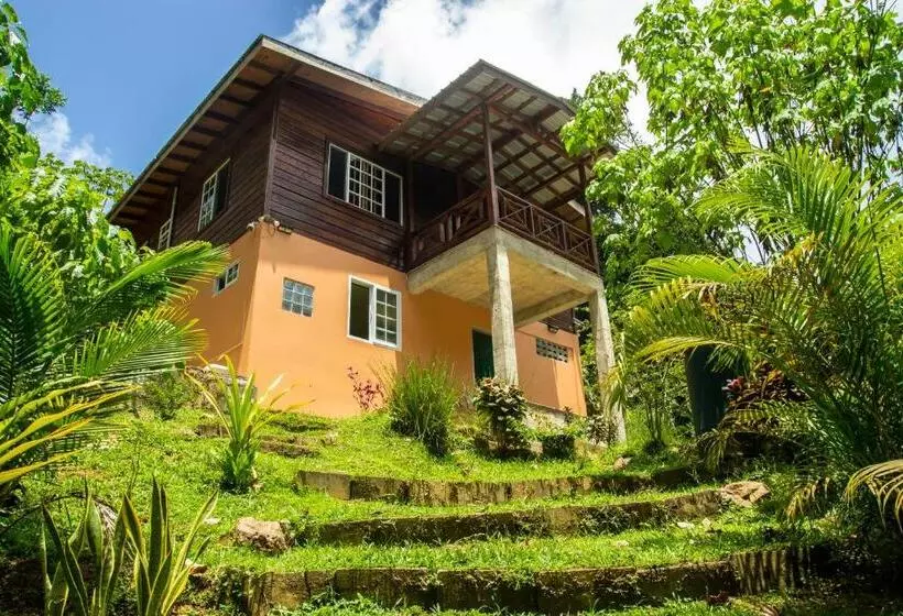 تختخواب و صبحانه Off Grid Zen Forest Den