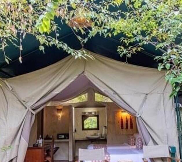 تختخواب و صبحانه Wildlife Enthusiasts