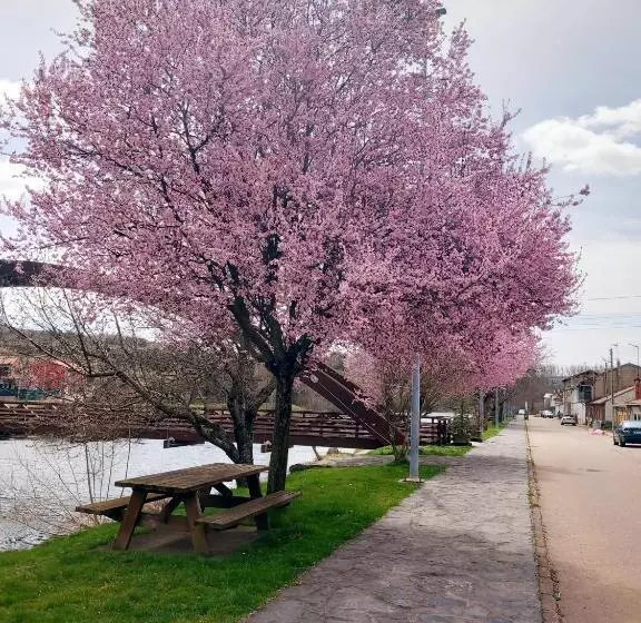 Hotelli Rural Orquidea