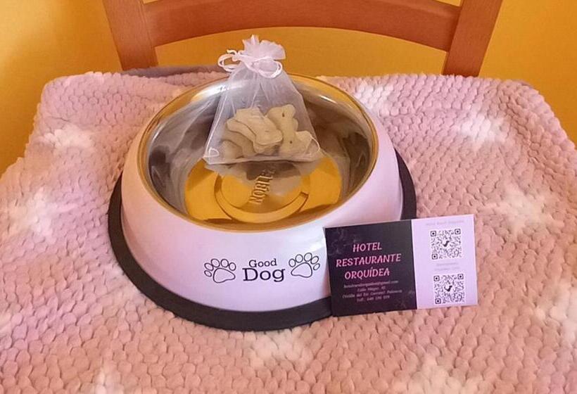 호텔 Rural Orquidea