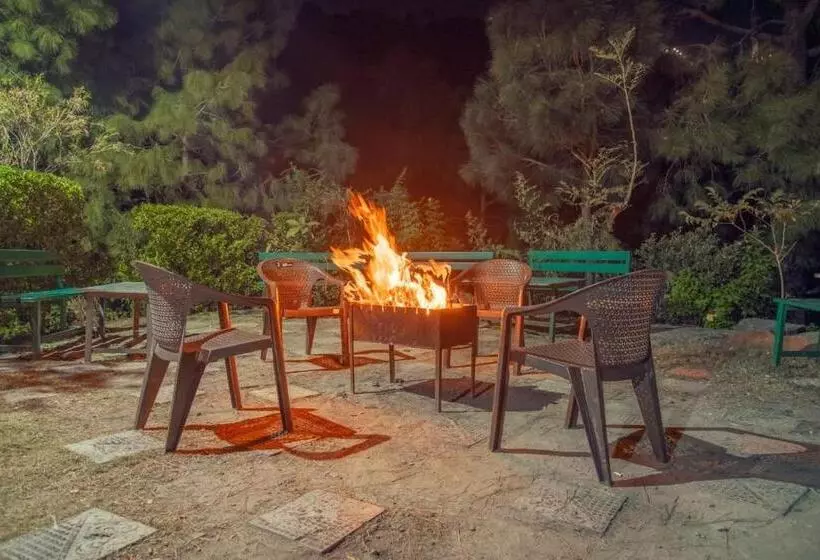 Hotelli The Charvi Retreat I Vacations I Conference I Mice I Famly Events I Kufri Shimla By Exotic Stays