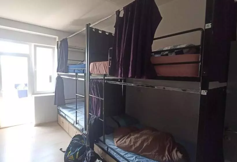 Newborn Comfort Hostel The Biggest Hostel Of Town With Best Location