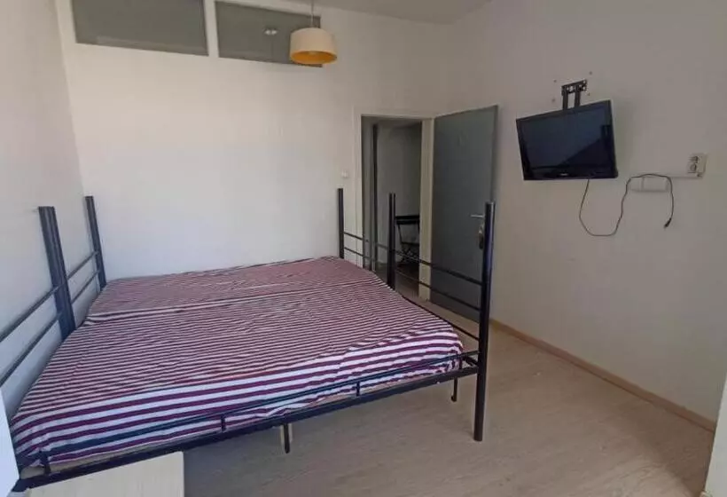 Newborn Comfort Hostel The Biggest Hostel Of Town With Best Location