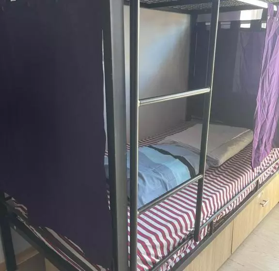 Newborn Comfort Hostel The Biggest Hostel Of Town With Best Location