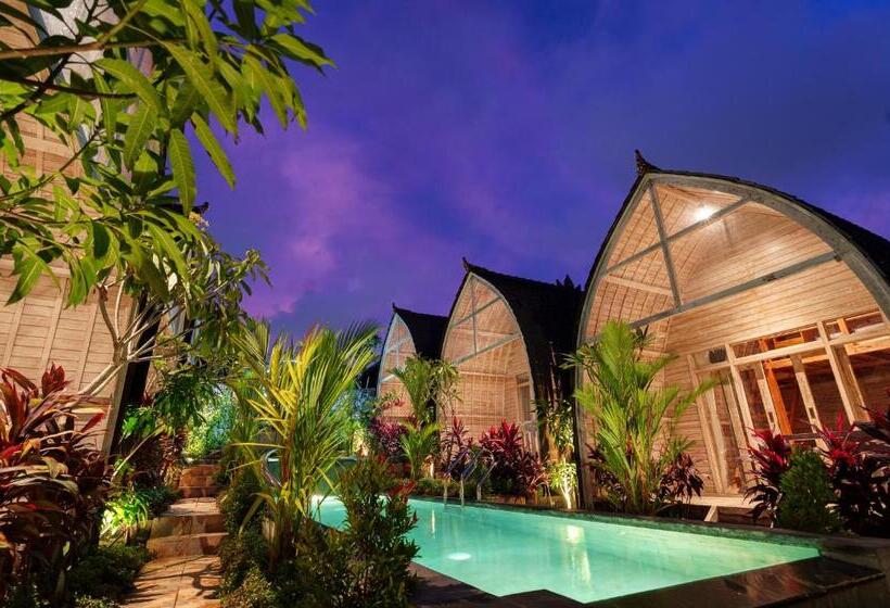 膳宿费 Ila Gaia Bali