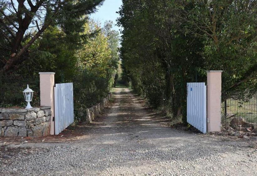 פנסיון La Maison De Blu