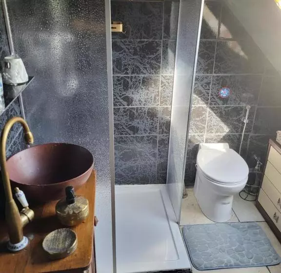 ペンション Le Vieil Hermitage