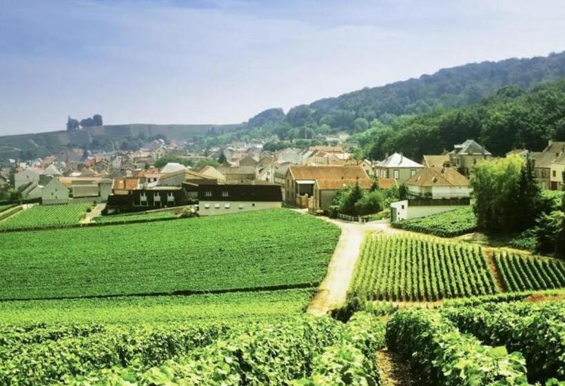 Пансион Magnifique Grange Rénovée Au Coeur De La Champagne