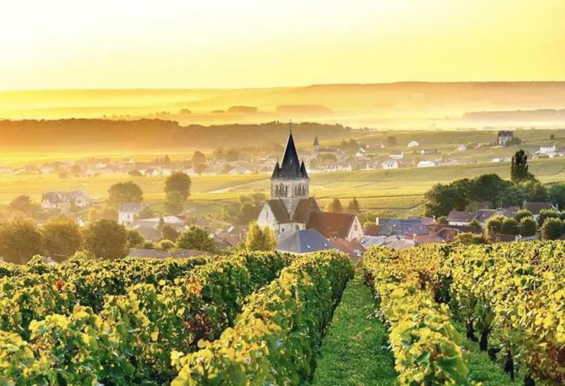 Пансион Magnifique Grange Rénovée Au Coeur De La Champagne