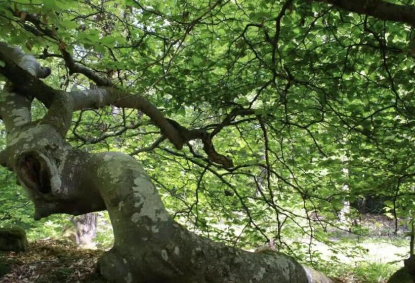 Пансион Magnifique Grange Rénovée Au Coeur De La Champagne