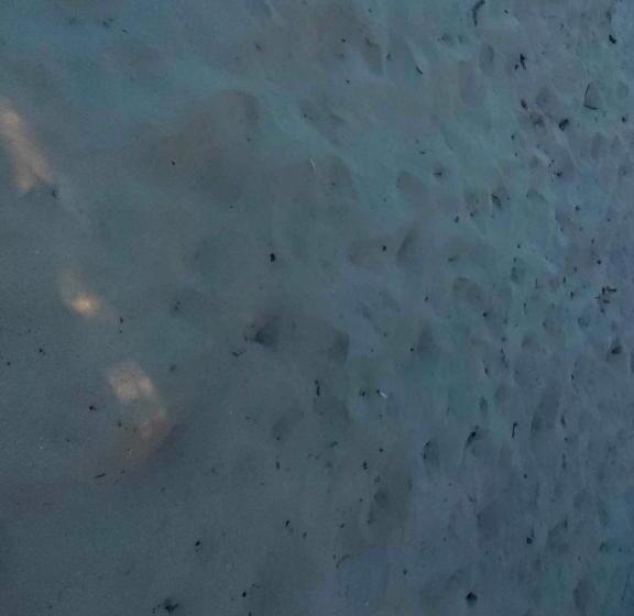 Nocleg ze śniadaniem Buluang Native Beach Resort