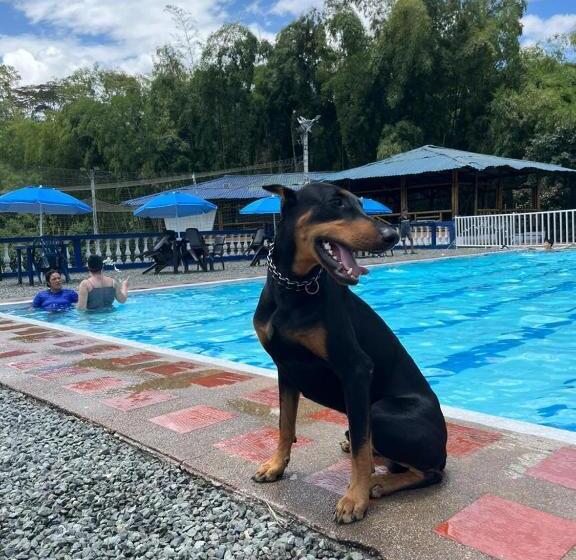 Finca Hotel Piscinando En Pereira