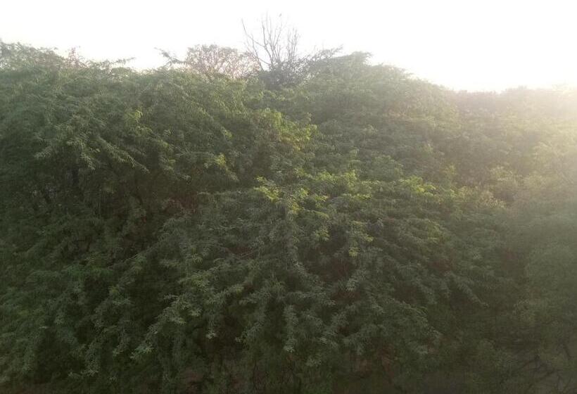 호텔 Aditya Paradise