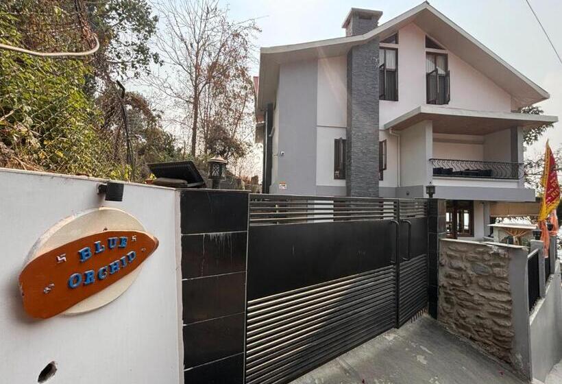 호텔 Blue Orchid Premium