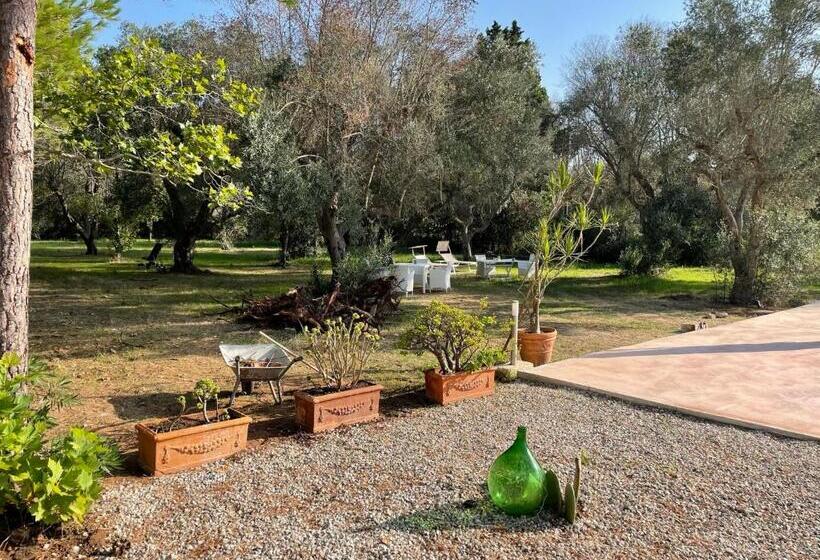 پانسیون Tenuta Palmarini