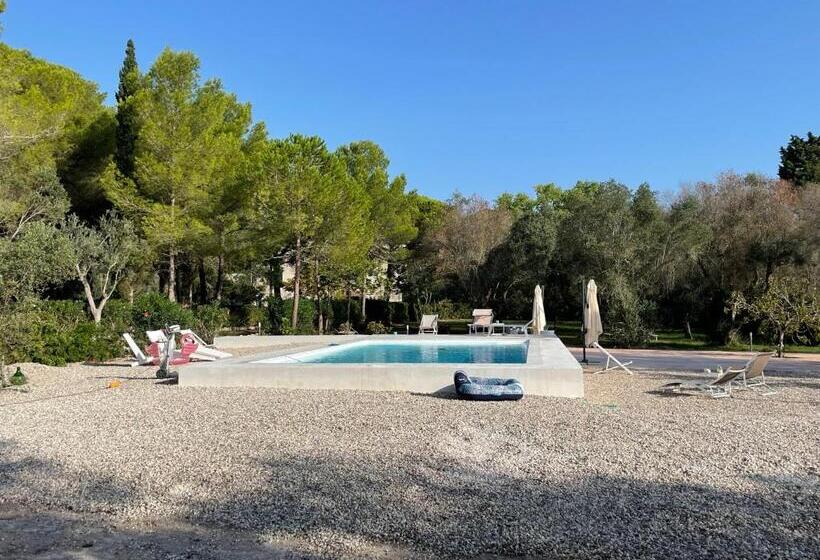 پانسیون Tenuta Palmarini