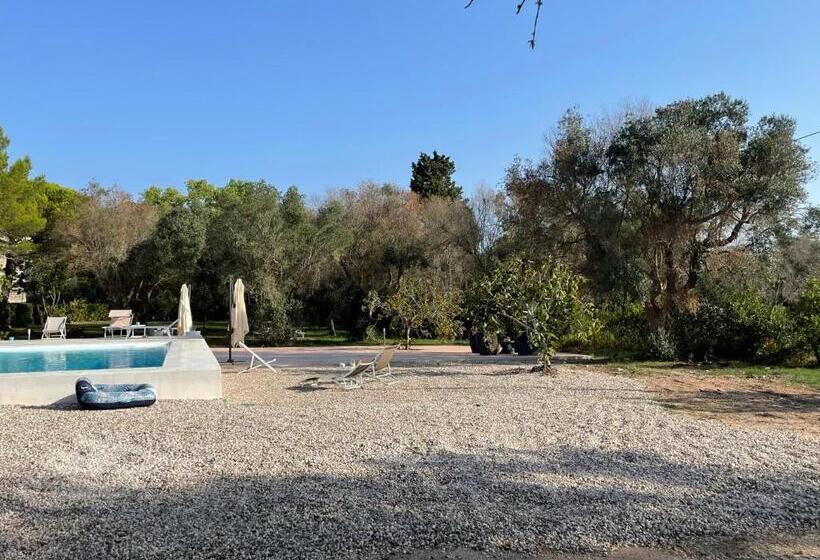 پانسیون Tenuta Palmarini