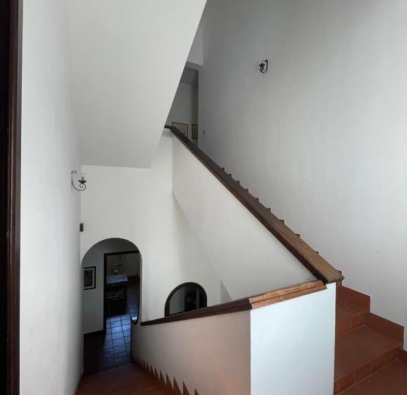 پانسیون Tenuta Palmarini