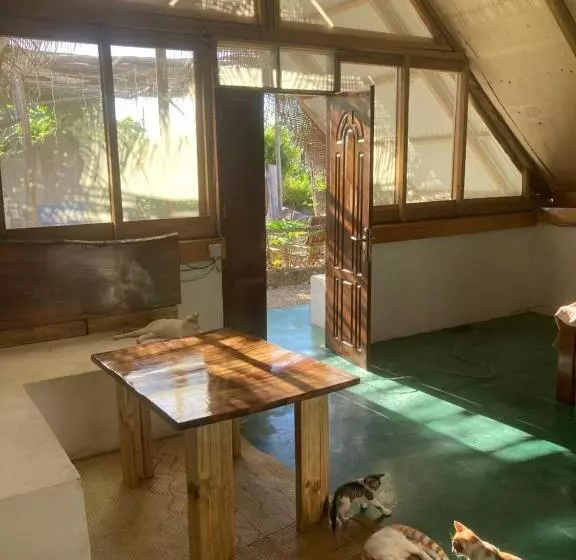 پانسیون Pongwe Eco Lodge And Kitten Paradise