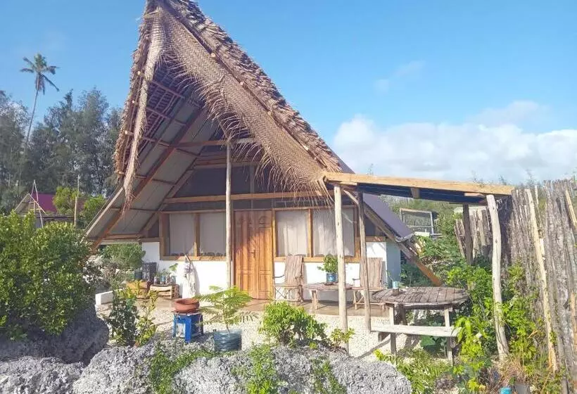 پانسیون Pongwe Eco Lodge And Kitten Paradise