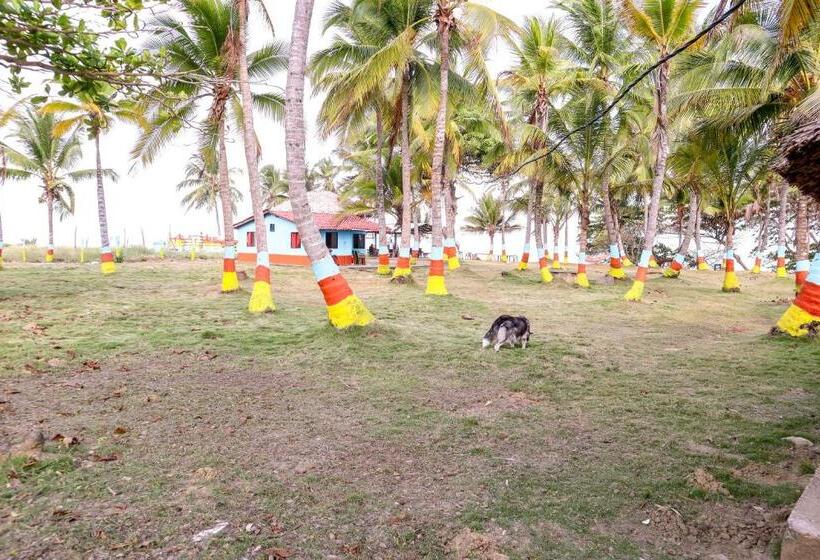 ホテル El Palmar Tours