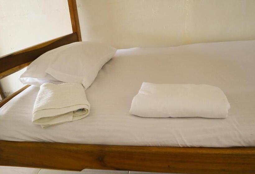 ホテル El Palmar Tours