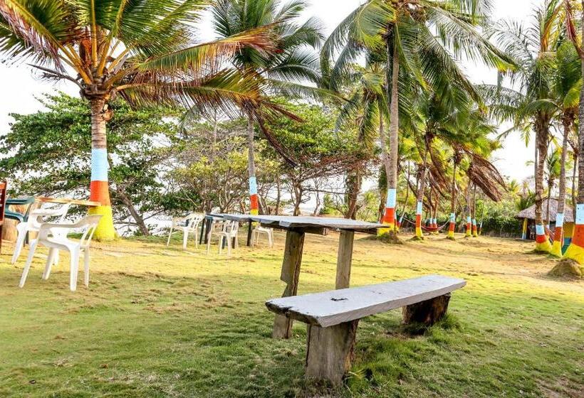 ホテル El Palmar Tours