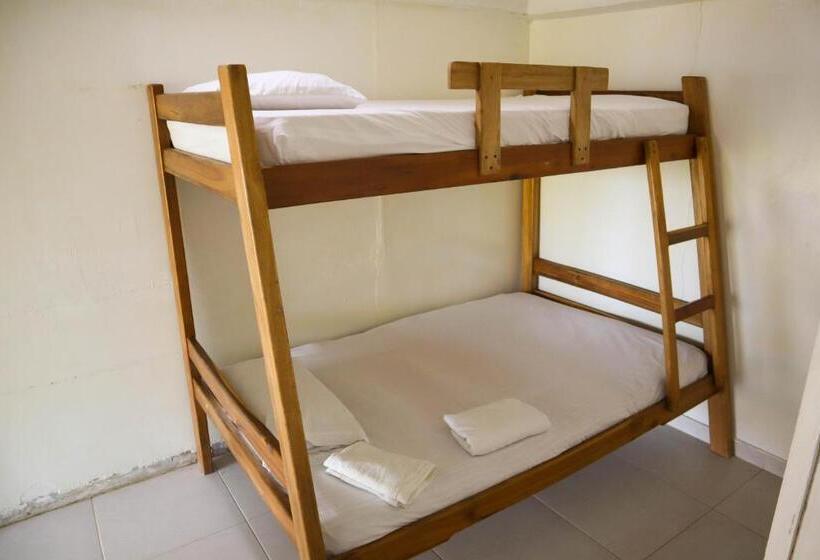 ホテル El Palmar Tours