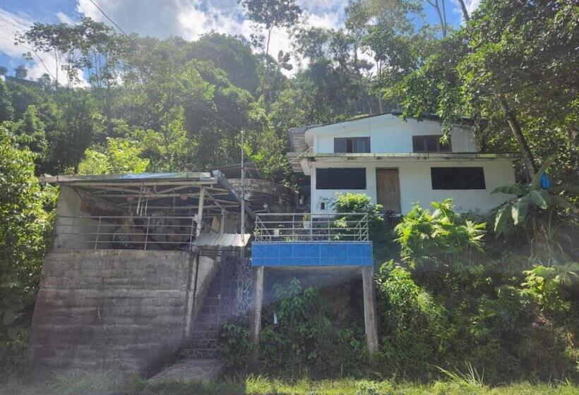 ペンション Garden Hostel Tingo María