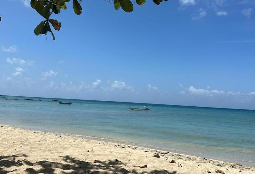 پانسیون Leonor’s Guest House