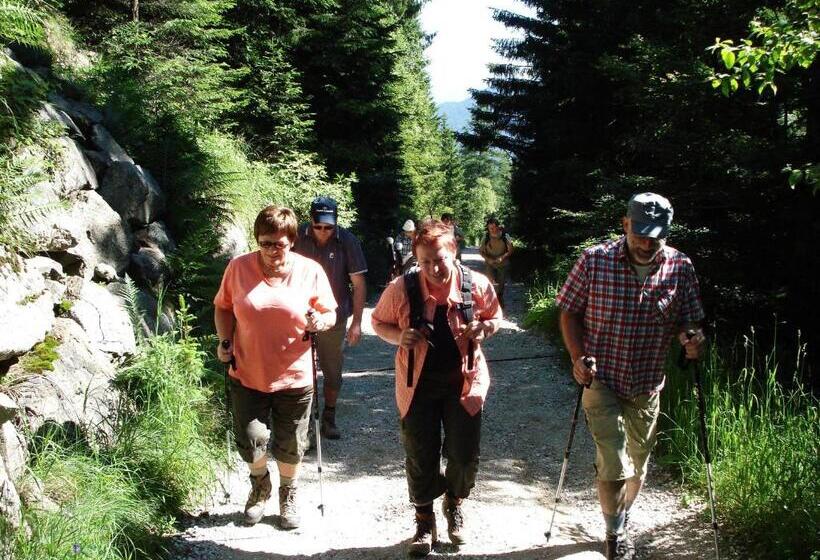 مبيت وإفطار Gasserhof Garni & Apartment