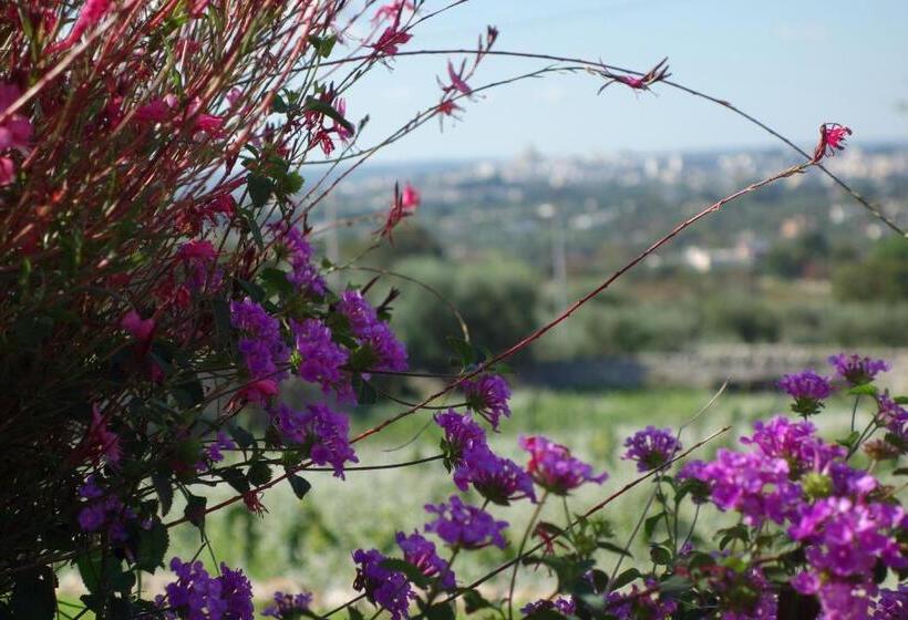 تختخواب و صبحانه Masseria Serralta