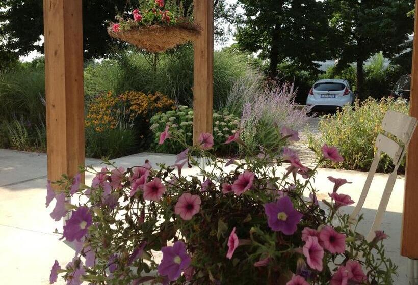 Bed And Breakfast Villa Gina