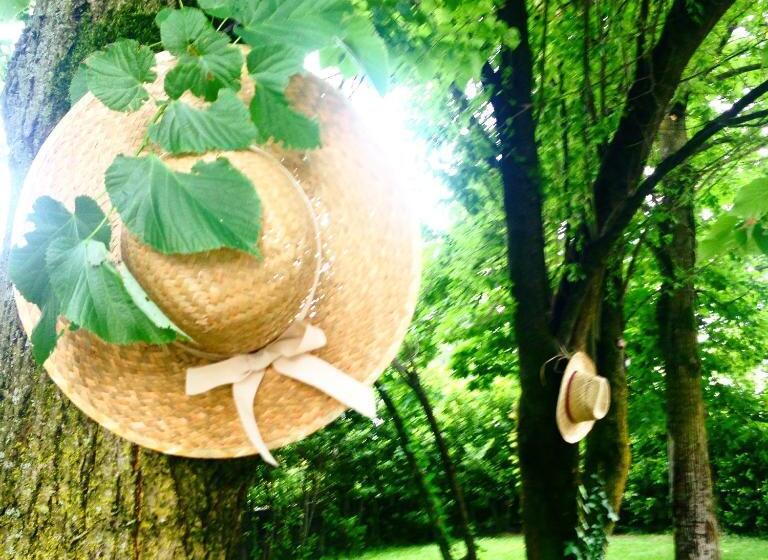 Bed And Breakfast Villa Gina