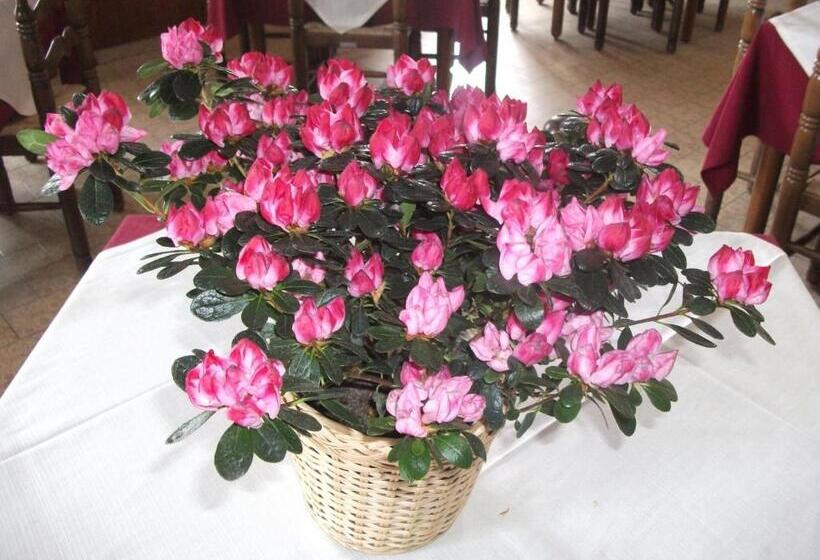 Отель Albergo Breglia