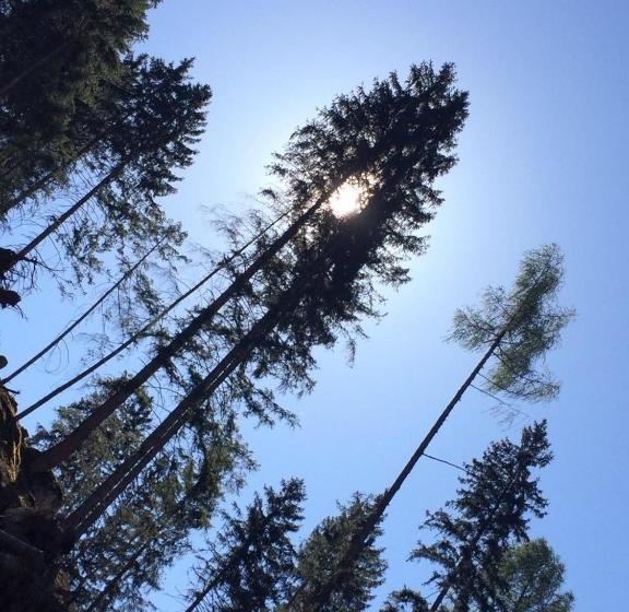 فندق Ristorante Milano