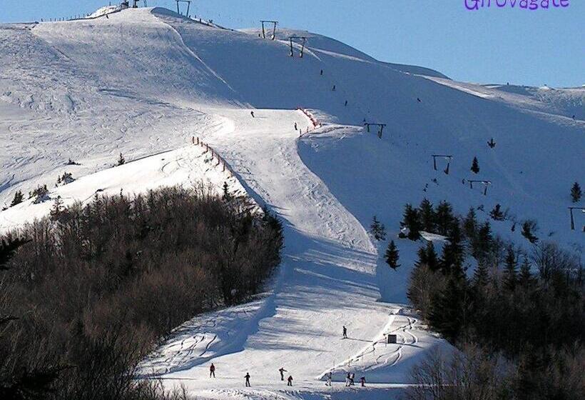 ホテル Albergo Tirolo