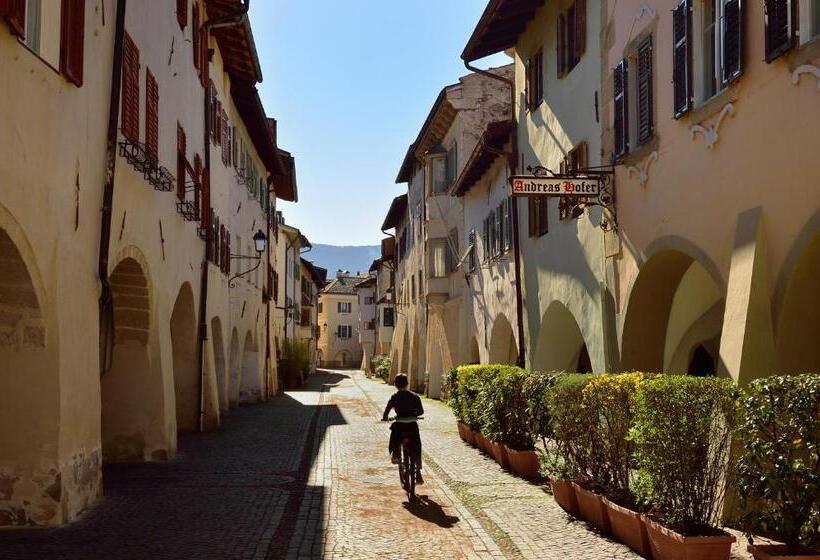 Отель Andreas Hofer