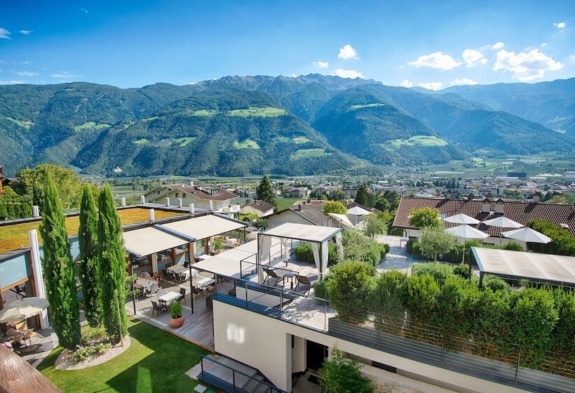 Отель Belvedere   Adults Only   14 Plus