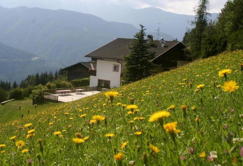 فندق Biogasthaus Plonerhof