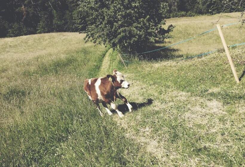 فندق Biogasthaus Plonerhof