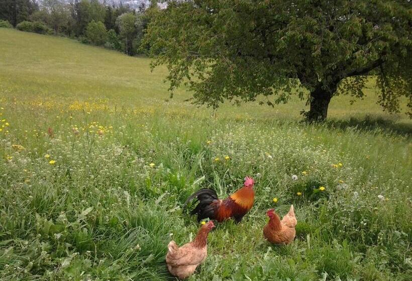 فندق Biogasthaus Plonerhof