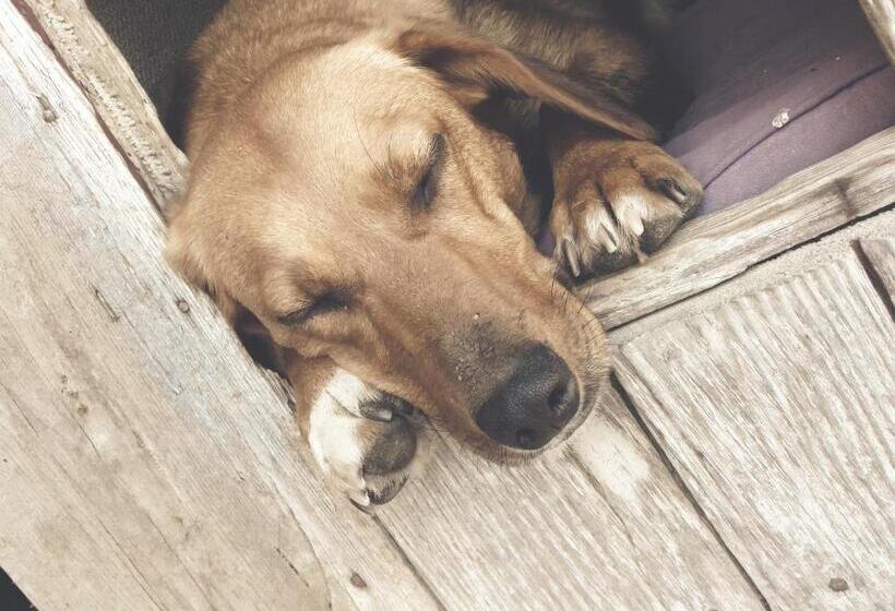 فندق Biogasthaus Plonerhof