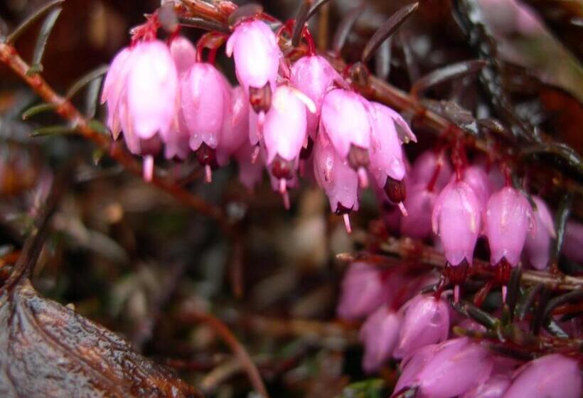 فندق Biogasthaus Plonerhof