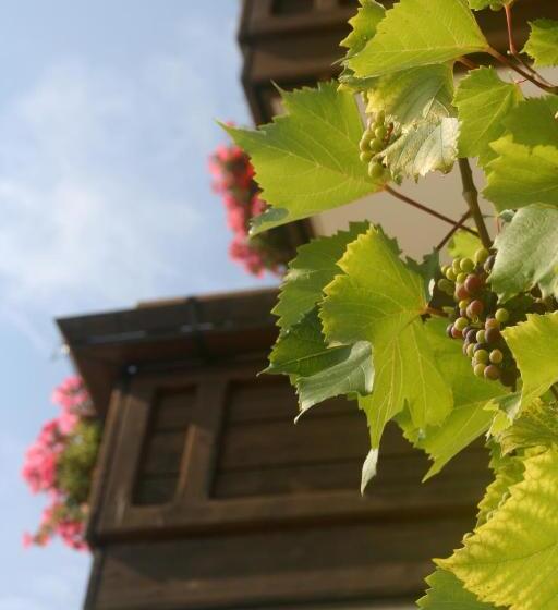 فندق Biogasthaus Plonerhof