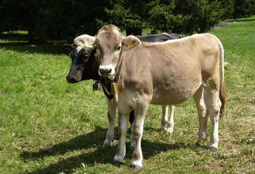 בית מלון כפרי Laurino